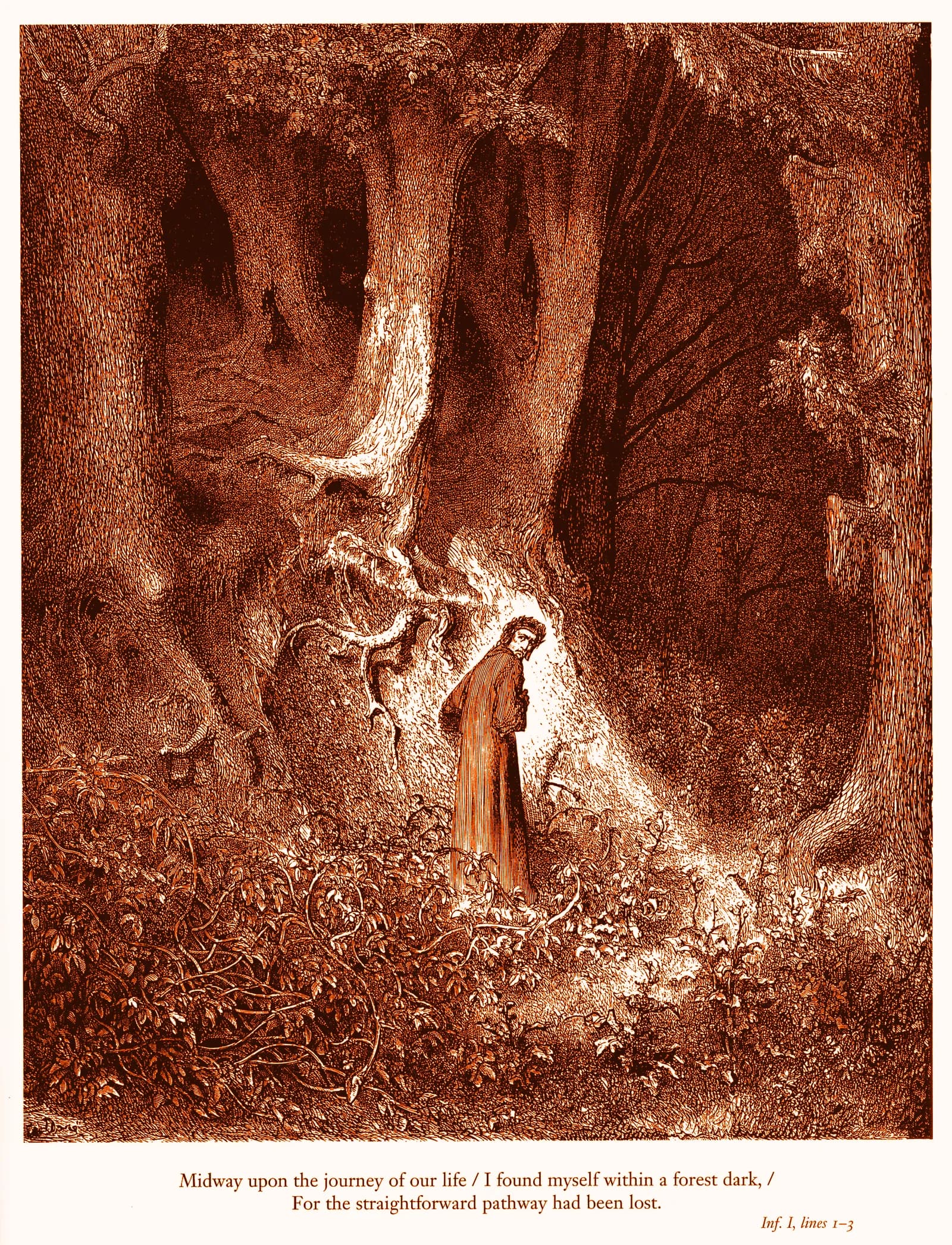 A lone traveller standing in a dense, dark forest